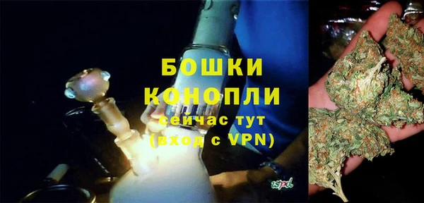 spice Медногорск