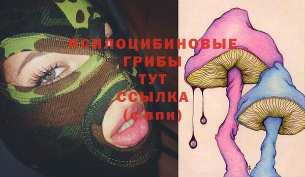 spice Медногорск