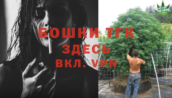 дживик Магадан