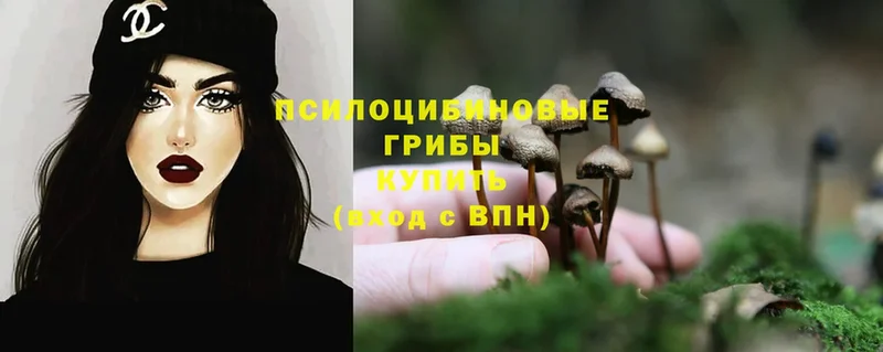 Псилоцибиновые грибы Magic Shrooms  Дедовск 