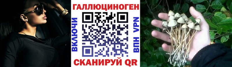 Галлюциногенные грибы мицелий  Дедовск 