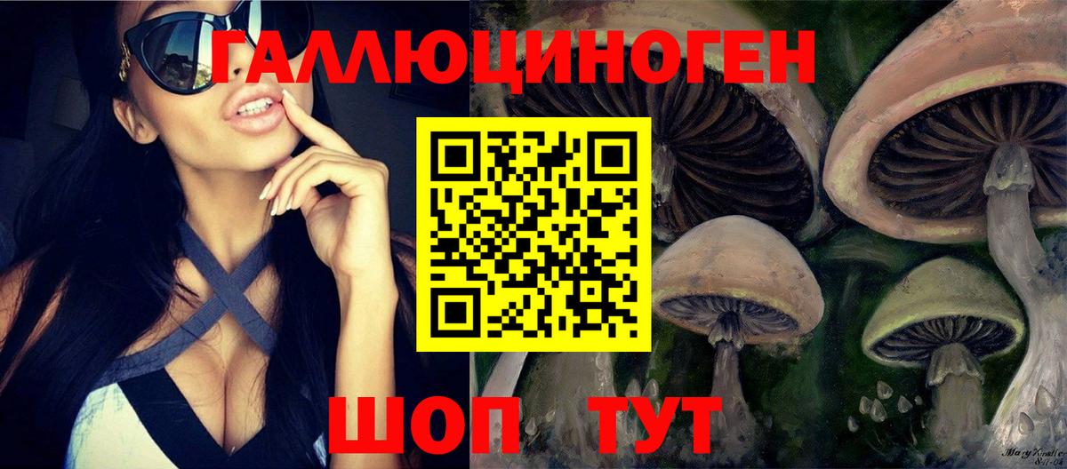 Галлюциногенные грибы мицелий  Псилоцибиновые грибы прущие грибы  Вход с VPN  Дедовск 