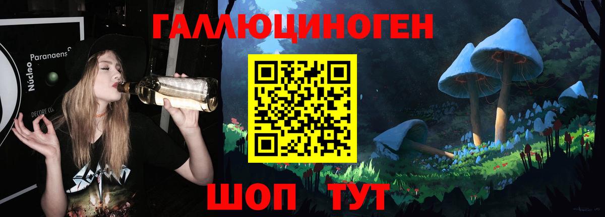 наркотики  Дедовск  Галлюциногенные грибы ЛСД  Псилоцибиновые грибы Psilocybe 